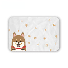 Load image into Gallery viewer, Diatomite Mat Diatomaceous Earth Bath Mat Super Absorbent Non Slip Quick Drying Bath Shower Rug Door Home Floor Mat Bathroom Mat